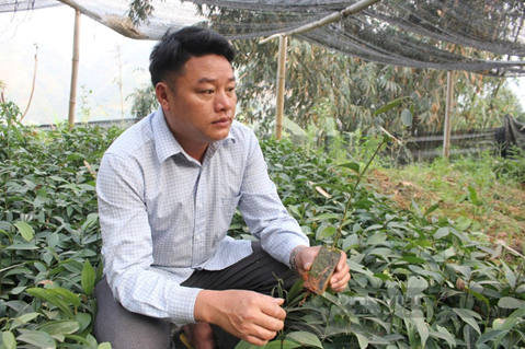Liên minh hợp tác xã tỉnh Lào Cai: Chung tay vì mục tiêu giảm nghèo bền vững